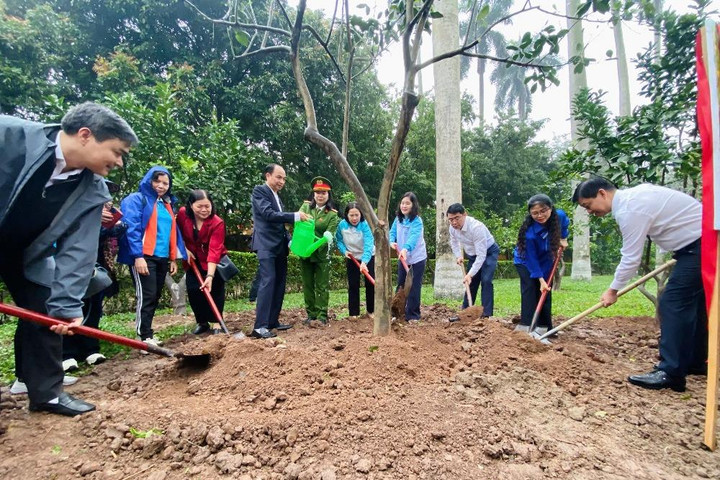 Tây Hồ triển khai công trình Tết trồng cây tại Khu Di tích Phủ Chủ tịch