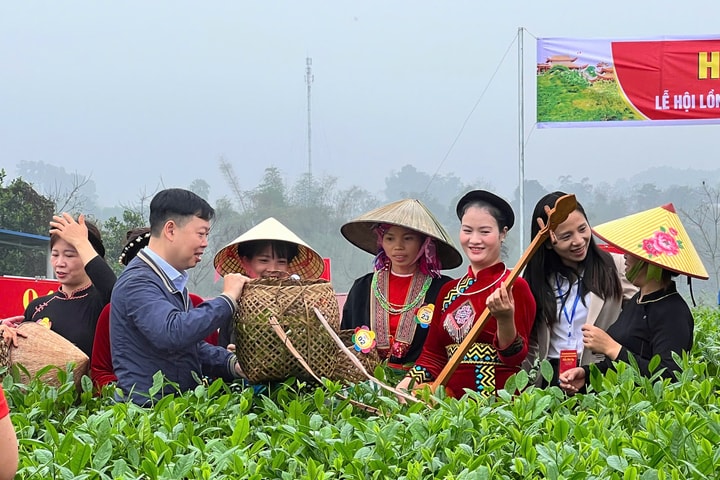 Hội Xuân tưng bừng trên những đồi chè An toàn khu Định Hóa