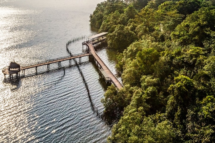 Du lịch kiểu “sống chậm”: Ngắm nhìn Singapore qua lăng kính tĩnh lặng