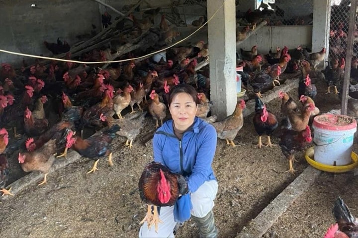 Tấm gương phụ nữ vượt khó làm giàu trên mảnh đất quê hương