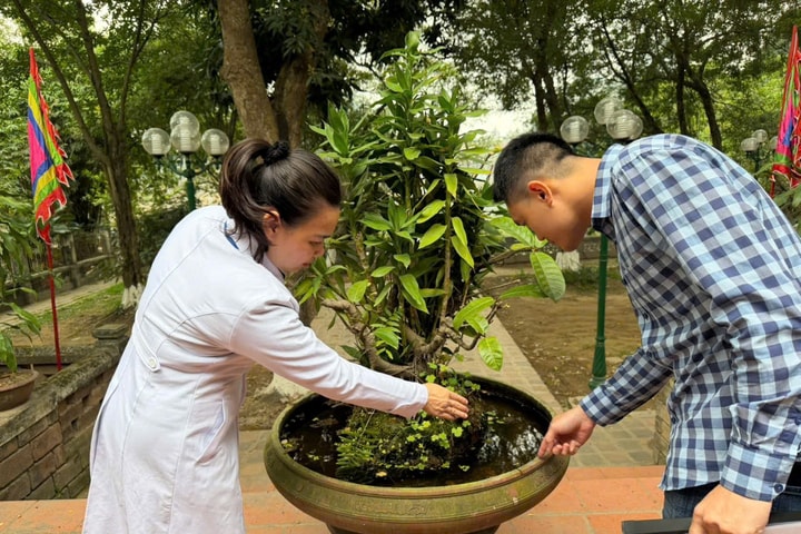 Giảng Võ phòng ngừa sốt xuất huyết tại các cơ sở tín ngưỡng, tôn giáo