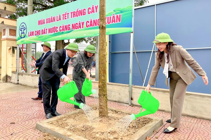 Nhân lên những mảng xanh bền vững
