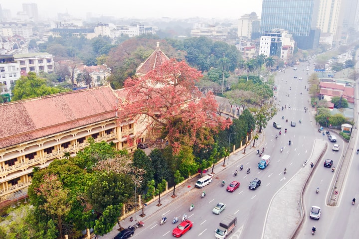 Khám phá Hà Nội mùa hoa gạo