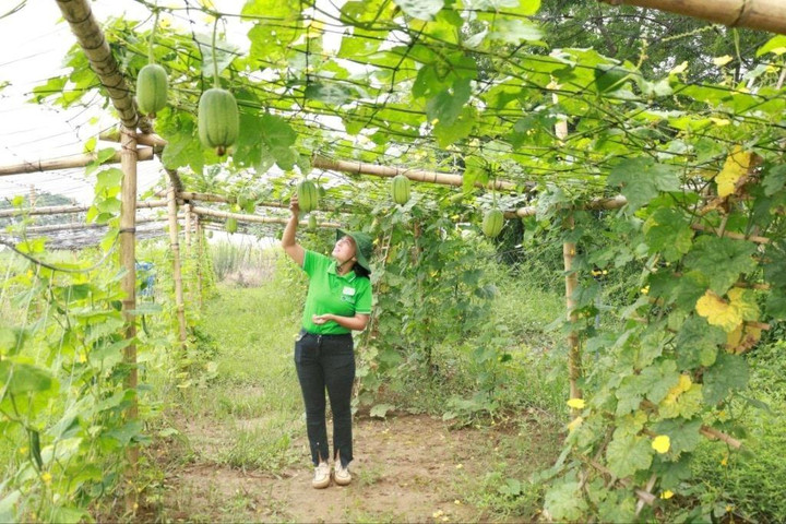 Hướng đi bền vững nâng tầm giá trị nông sản Hà Nội