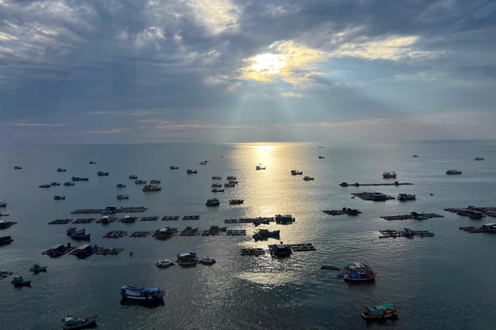 “Quần long hội tụ” đón bình minh mới ở Phú Quốc