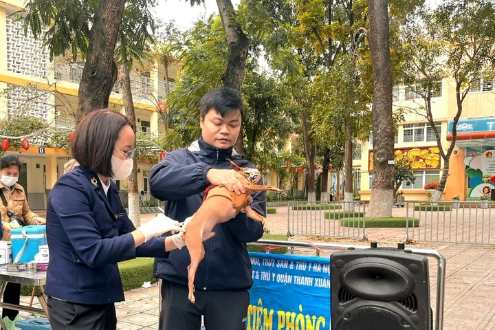 Hà Nội: Quyết liệt ngăn chặn bệnh dại, bảo vệ sức khỏe cộng đồng
