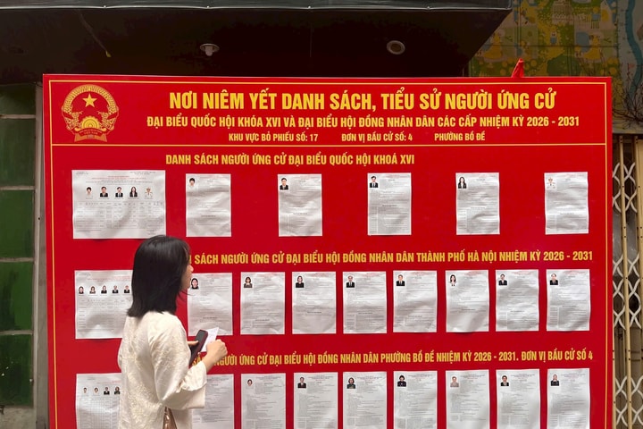 Các nhà ngoại giao quốc tế đánh giá cao cuộc bầu cử tại Việt Nam