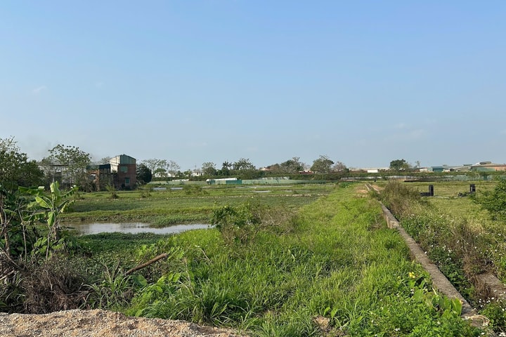 Thường Tín sẽ cưỡng chế thu hồi đất làm dự án khu đấu giá đất ở xã Tiền Phong cũ