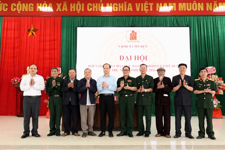 Xây dựng tổ chức hội ngày càng vững mạnh