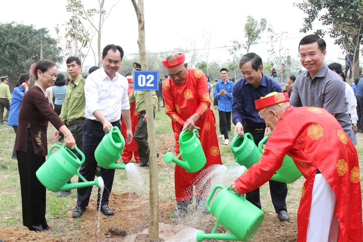 Phát động Ngày hội người cao tuổi trồng cây góp phần xây dựng Việt Nam xanh, bền vững