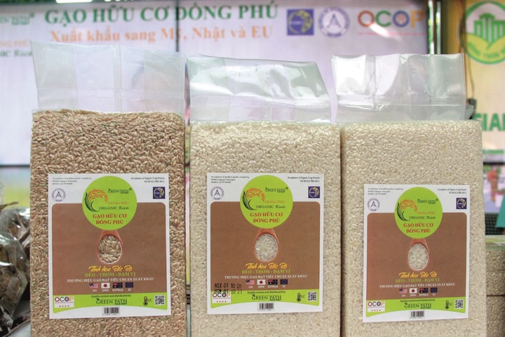 Giá gạo thế giới giảm sâu, doanh nghiệp xuất khẩu Việt Nam cần chủ động