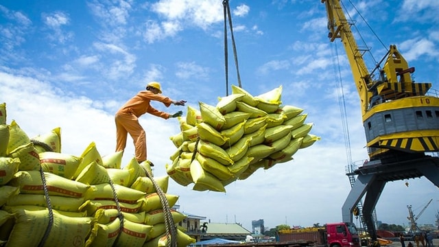 Thúc đẩy xuất khẩu gạo, chủ động ứng phó biến động thị trường
