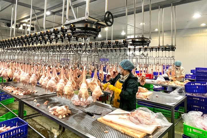 ​Hà Nội: Dẹp bỏ cơ sở giết mổ gia súc gia cầm nhỏ lẻ, siết chặt an toàn thực phẩm