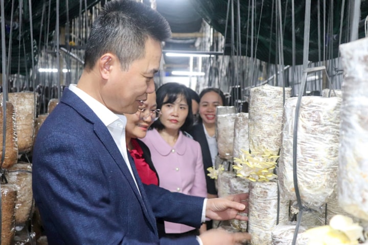 Xã Phú Xuyên: Khơi dậy sức dân từ tinh thần phát huy dân chủ và lắng nghe nhân dân nói