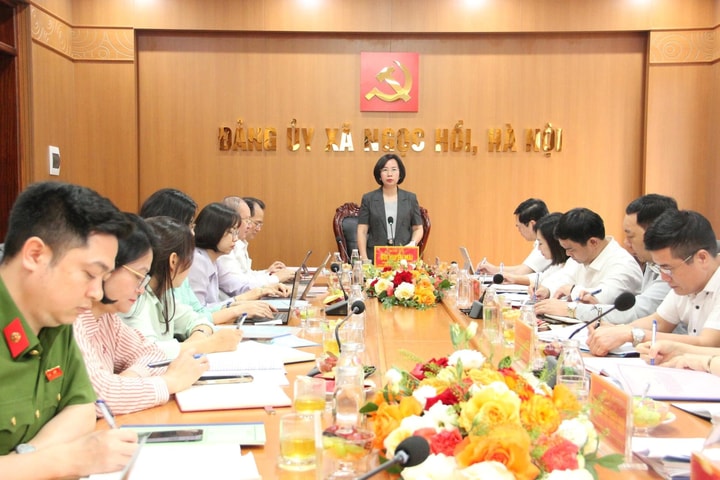 Chủ tịch Ủy ban MTTQ Việt Nam thành phố Hà Nội kiểm tra thực hiện nghị quyết đại hội Đảng tại xã Ngọc Hồi