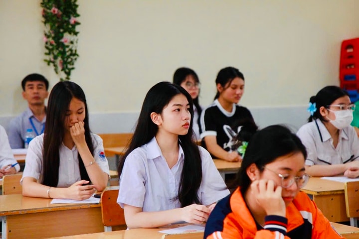 Làm chủ cấu trúc và luyện đề: Chìa khóa chinh phục các kỳ thi quan trọng