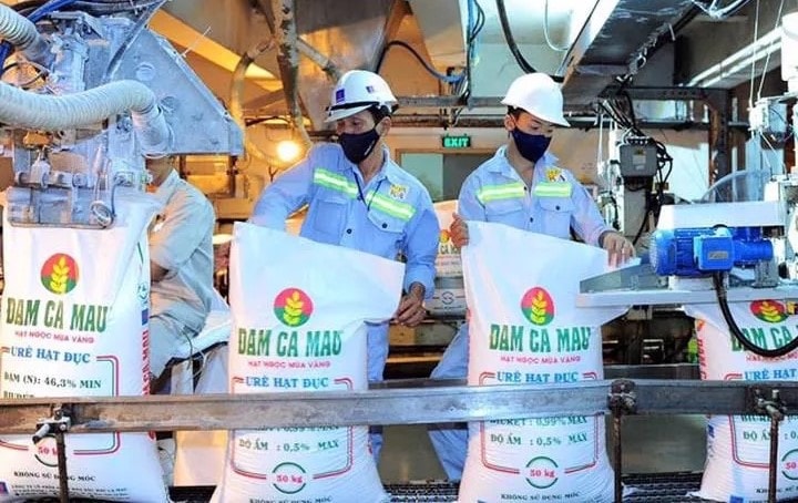 Giá phân bón sẽ tiếp tục tăng mạnh, ứng phó cách nào?