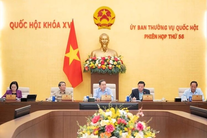 Giám sát chuyên đề “Việc thực hiện chính sách, pháp luật về an toàn thực phẩm giai đoạn 2021-2026”