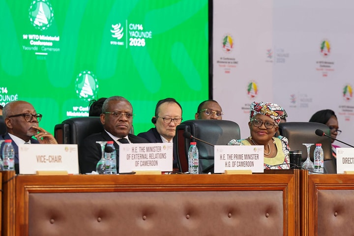 Đàm phán cải cách WTO đứng trước nguy cơ bế tắc kéo dài