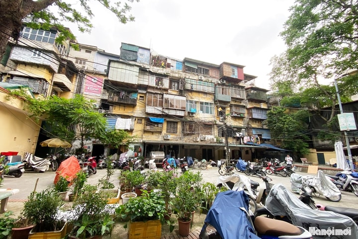 Việc cấp bách, không thể chần chừ