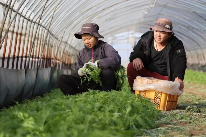 Nhật Bản sẽ yêu cầu chứng minh trình độ tiếng Nhật với người xin thị thực kỹ sư, chuyên gia