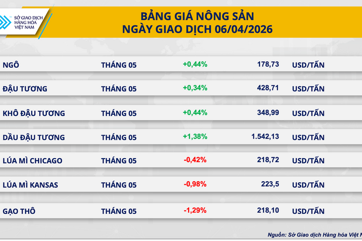 Thị trường đậu tương ghi nhận sắc xanh tích cực