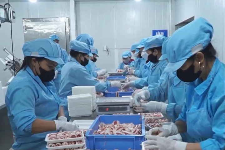 Kim Anh siết chặt quản lý an toàn thực phẩm, xử lý hàng hóa không rõ nguồn gốc