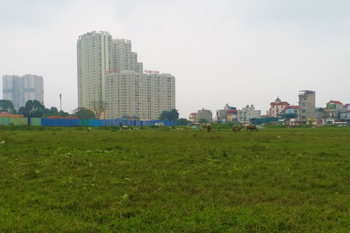 Hoàn thiện cơ chế phân cấp trong quản lý đất đai: Tăng tính chủ động cho địa phương