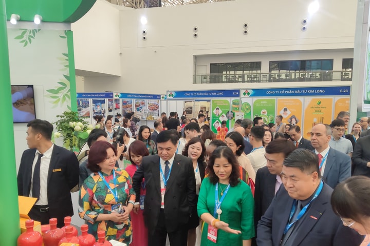 Tiêu dùng thông minh, công nghiệp bền vững để thúc đẩy xanh hóa
