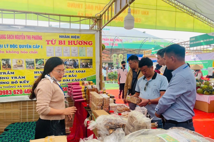 Hà Nội siết chặt nguồn cung thực phẩm: Đẩy mạnh liên kết vùng, minh bạch chuỗi cung ứng