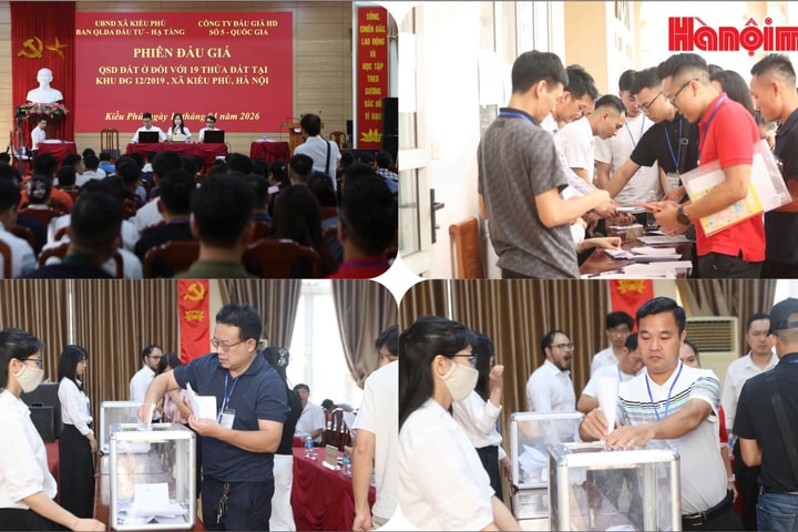 Xã Kiều Phú đấu giá thành công 19 thửa đất, thu về hơn 150,19 tỷ đồng