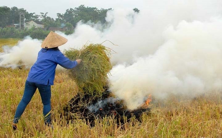 Hà Nội: Xử lý nghiêm hành vi đốt rơm rạ để bảo vệ môi trường không khí