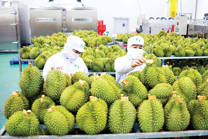 Quan hệ kinh tế - thương mại Việt Nam - Trung Quốc ngày càng sâu rộng