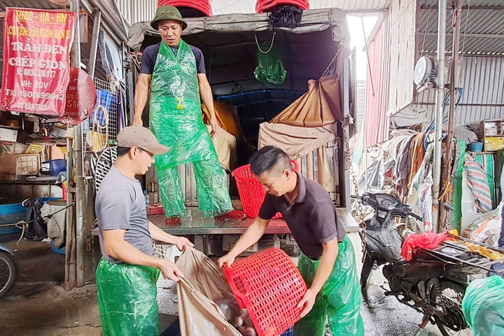 Xây chợ mới, gỡ “điểm nghẽn” tại chợ cá Yên Sở