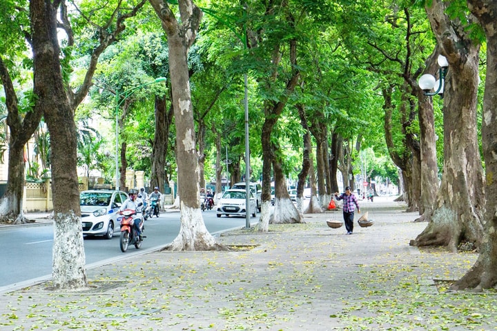 Bắc Bộ có mưa dông nhiều nơi, trời chuyển mát