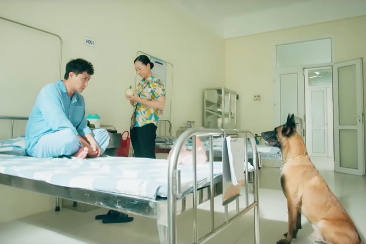 Dòng phim miniseries: Bước chuyển của phim truyền hình giờ vàng
