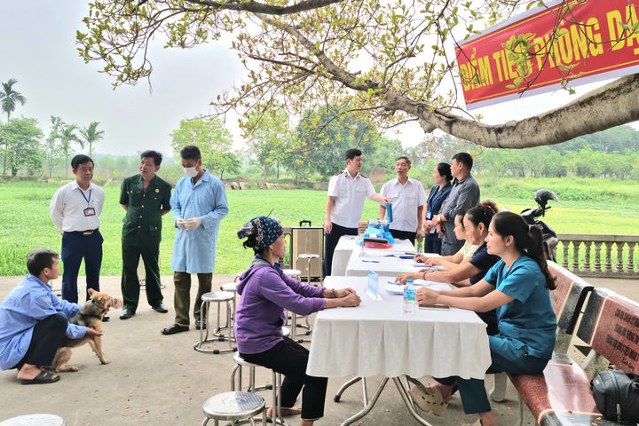 Chi cục Chăn nuôi, Thủy sản và Thú y Hà Nội: Kiểm tra công tác tiêm vắc xin phòng dịch, bệnh cho đàn vật nuôi tại xã Đa Phúc