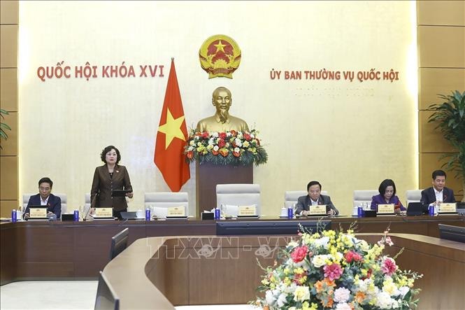 Rà soát kỹ việc giao quy định ngưỡng doanh thu miễn thuế với hộ kinh doanh