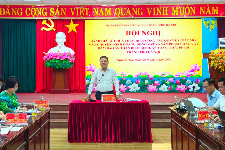 Đoàn Kiểm tra liên ngành thành phố làm việc với 12 xã về công tác kiểm soát giết mổ