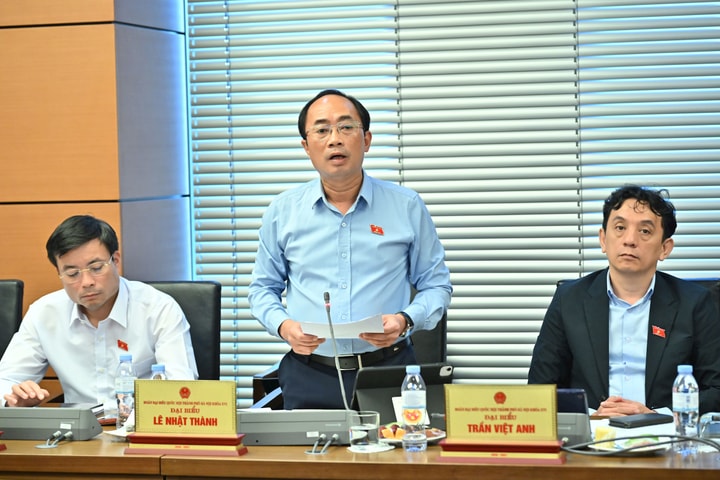 Cấp chứng chỉ hành nghề luật sư công theo "nhu cầu thực tế" có thể dẫn đến cấp tràn lan