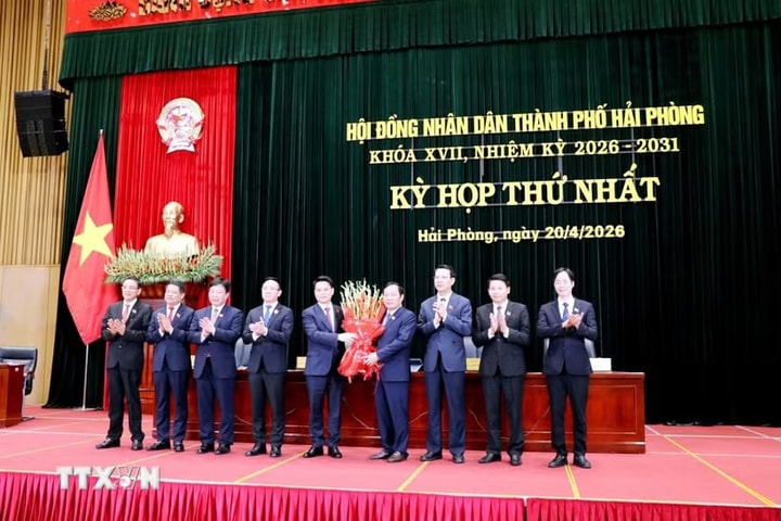 Hải Phòng bầu, kiện toàn các chức danh chủ chốt của hệ thống chính trị