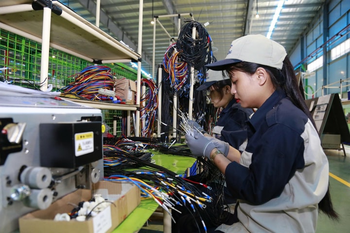 HBI tạo bệ đỡ để doanh nghiệp nhỏ và vừa bứt phá