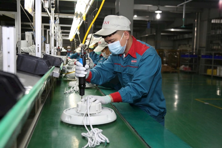 Vườn ươm HBI - bệ đỡ cho doanh nghiệp nhỏ và vừa