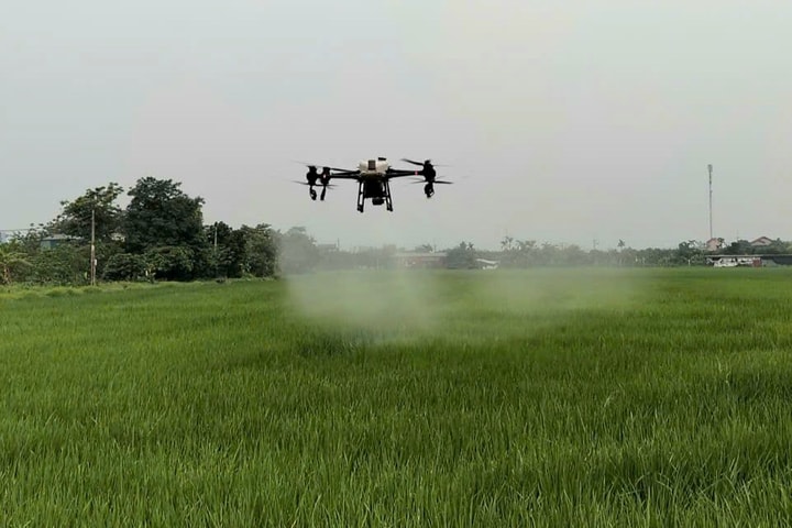 Hợp tác xã sản xuất, kinh doanh nông nghiệp Đoàn Kết: Ứng dụng công nghệ hiện đại trong sản xuất nông nghiệp