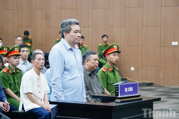 Giám đốc Công ty Hoàng Dân kháng cáo, xin giảm án