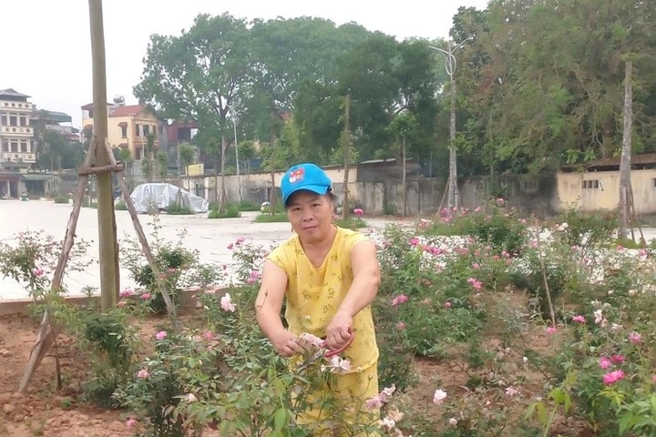 Lan tỏa phong trào trồng hoa, giữ sạch đường làng