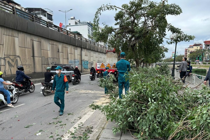 Phường Giảng Võ: Xử lý nhanh cây xanh gãy đổ do dông lốc