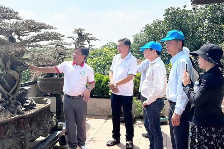 Quy hoạch phát triển làng nghề Hà Nội: Kiến tạo không gian xanh đáng sống