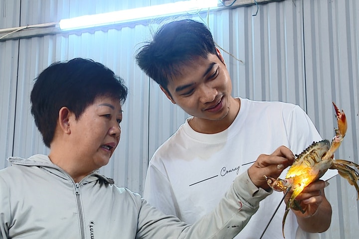 Công nghệ nuôi cua biển tuần hoàn thúc đẩy chuyển đổi số trong nông nghiệp