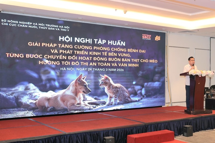 Hà Nội tăng cường công tác phòng, chống bệnh dại và hỗ trợ chuyển đổi hoạt động buôn bán thịt chó mèo